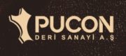 Pucon_logo