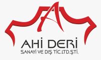 ahi_logo